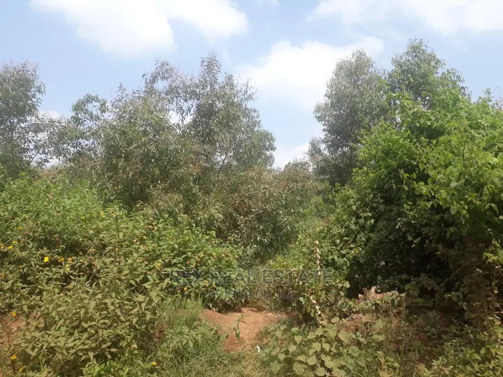 Prime 3.5 Acre Plot in Dagoretti, Mutuini - Perfect Investment Opportunity in Lenana