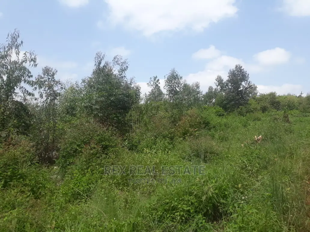 Prime 3.5 Acre Plot in Dagoretti, Mutuini - Perfect Investment Opportunity in Lenana