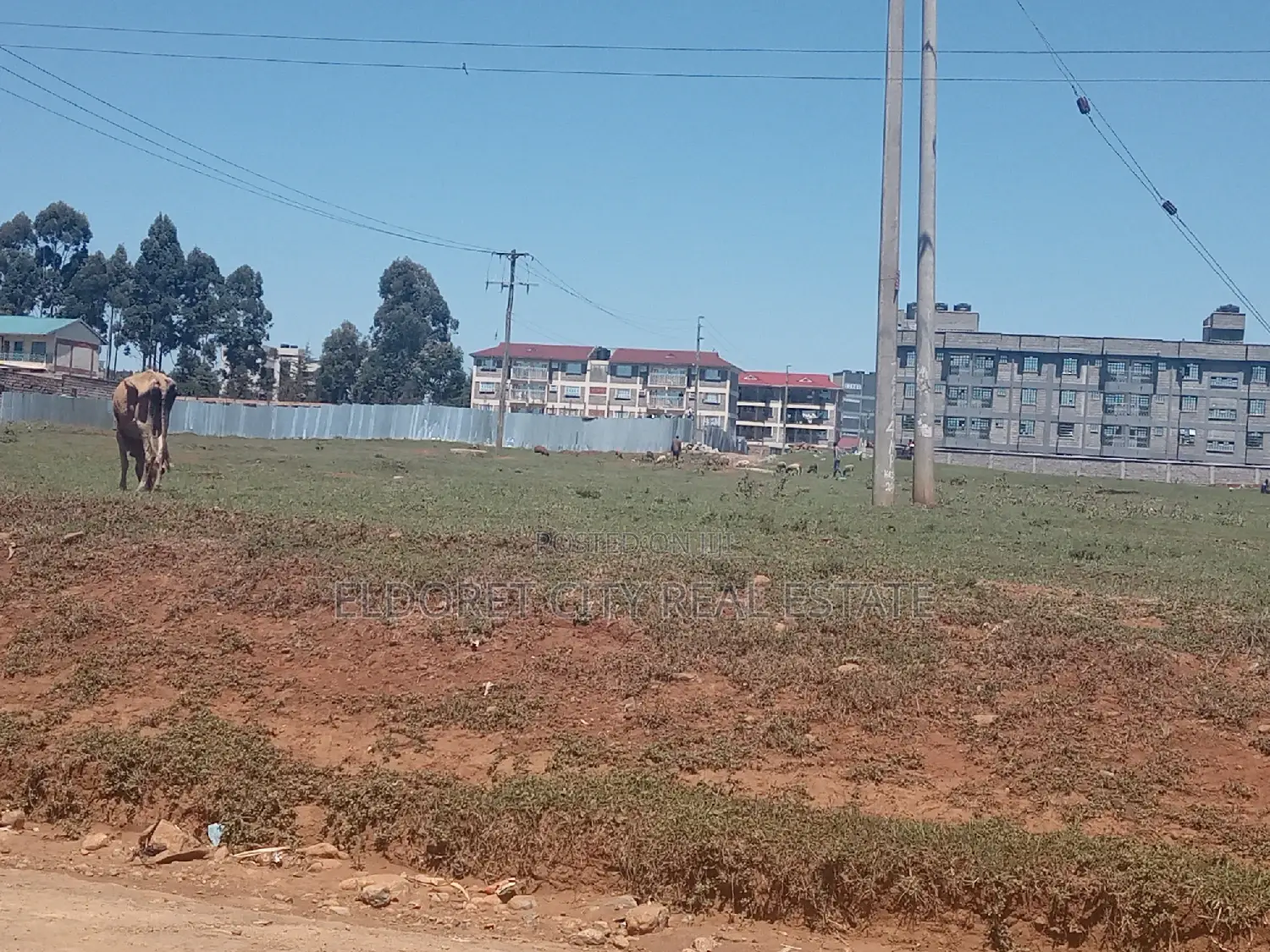 1/4 Plot Annex in Nairobi - Eldoret: 100m from Tarmac, Ready for Sale in Elgon View
