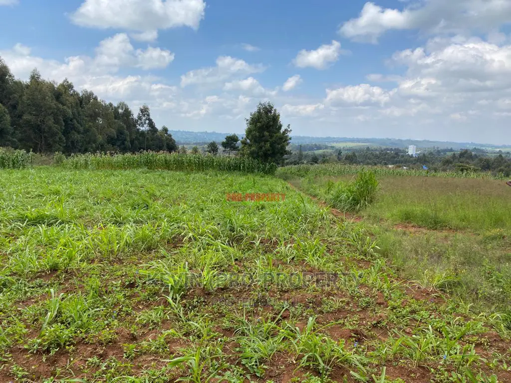 Kikuyu, Kamangu - Exceptional Plot for Sale - Invest in Your Future Today! in Karai