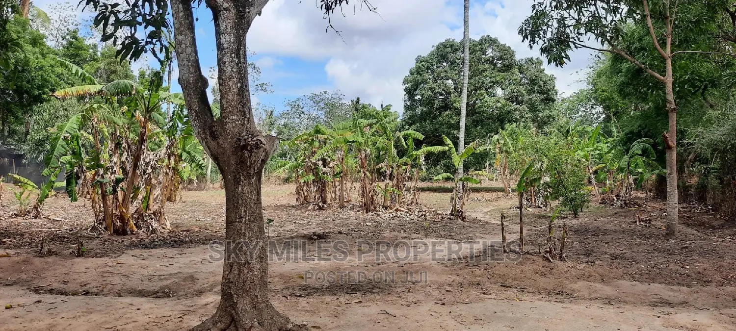 Mtwapa Animo Acreage Available - Don't Miss This Exclusive Land Offer in Mtwapa