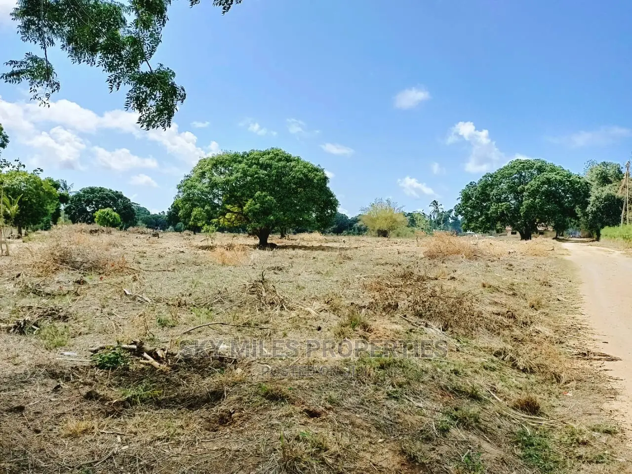 2-Acre Plot in Majengo Mtwapa - Seize the Land Investment Today in Mtwapa