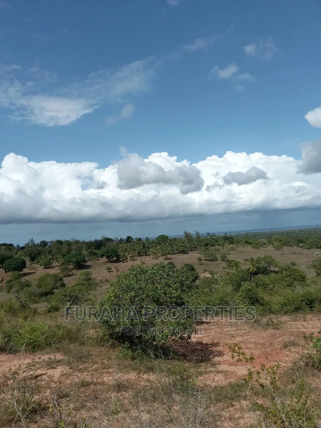 2 Acres of Land in Kwale's Tiwi - Sell Now, Invest in a Bright Future in Tiwi