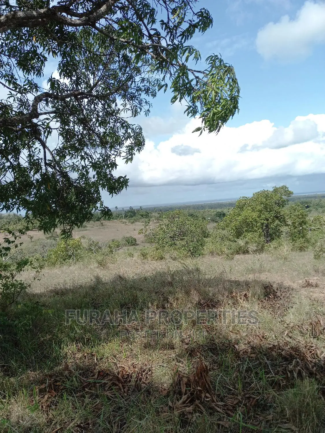 2 Acres of Land in Kwale's Tiwi - Sell Now, Invest in a Bright Future in Tiwi
