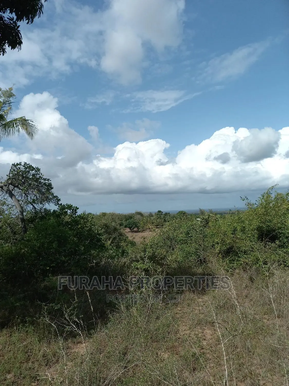 2 Acres of Land in Kwale's Tiwi - Sell Now, Invest in a Bright Future in Tiwi