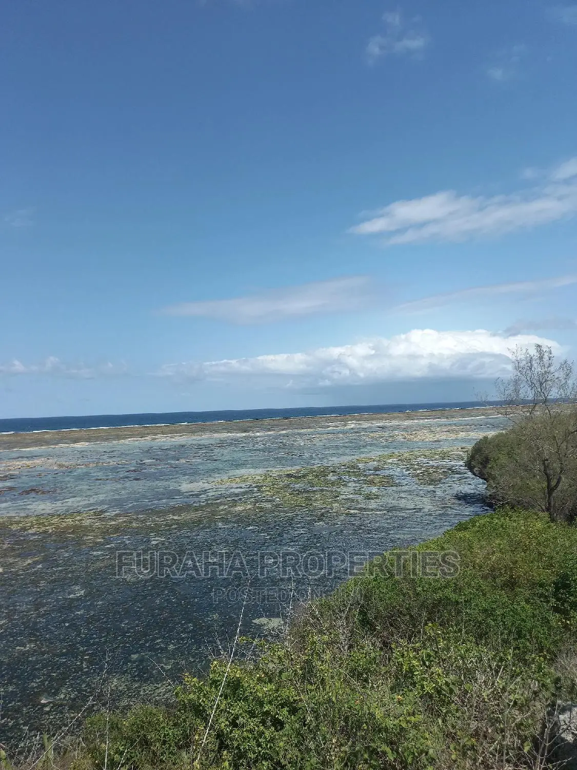 2-Acre Beachfront Property in Likoni - Ideal for Resort Development! in Likoni