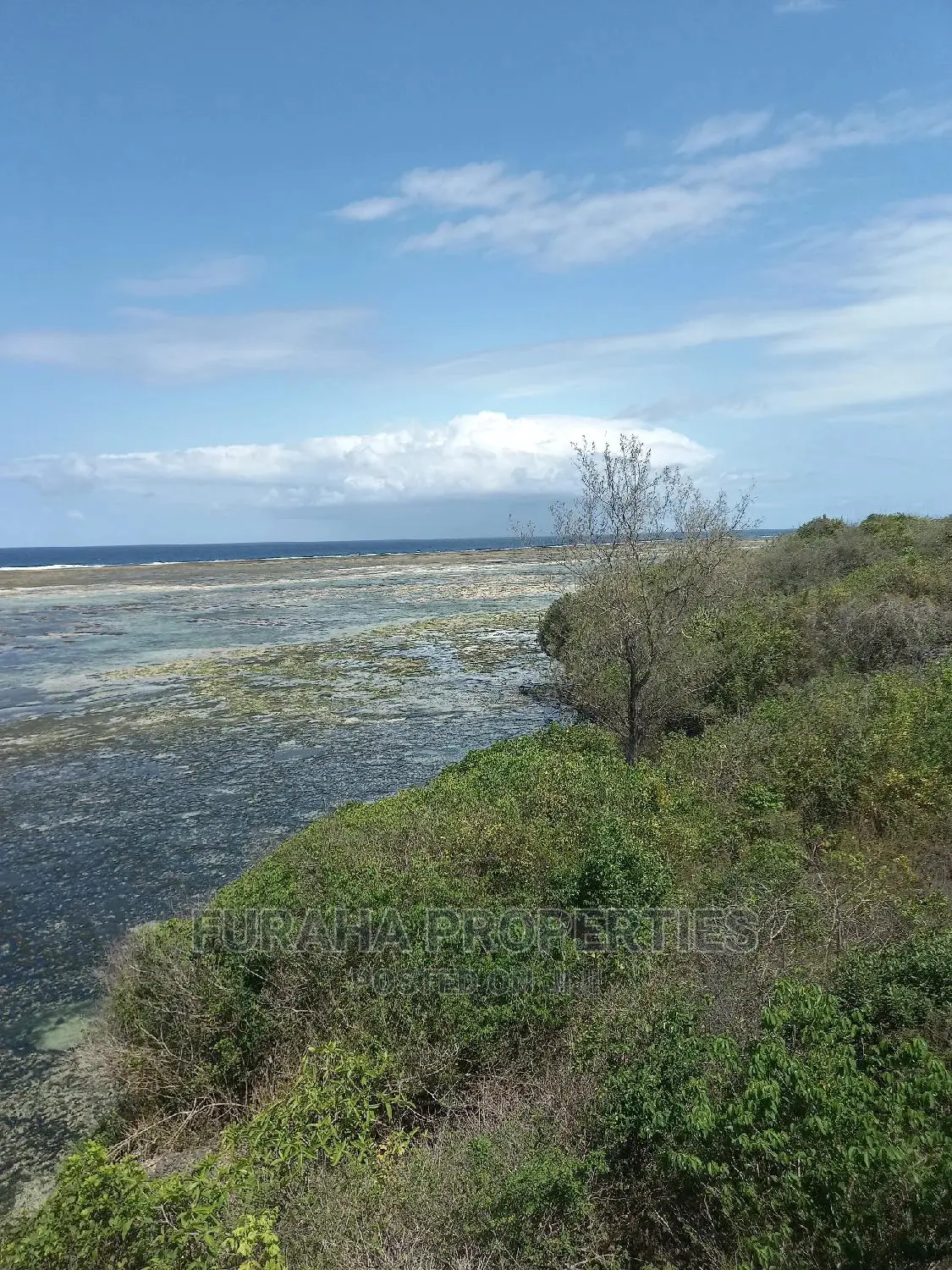 2-Acre Beachfront Property in Likoni - Ideal for Resort Development! in Likoni