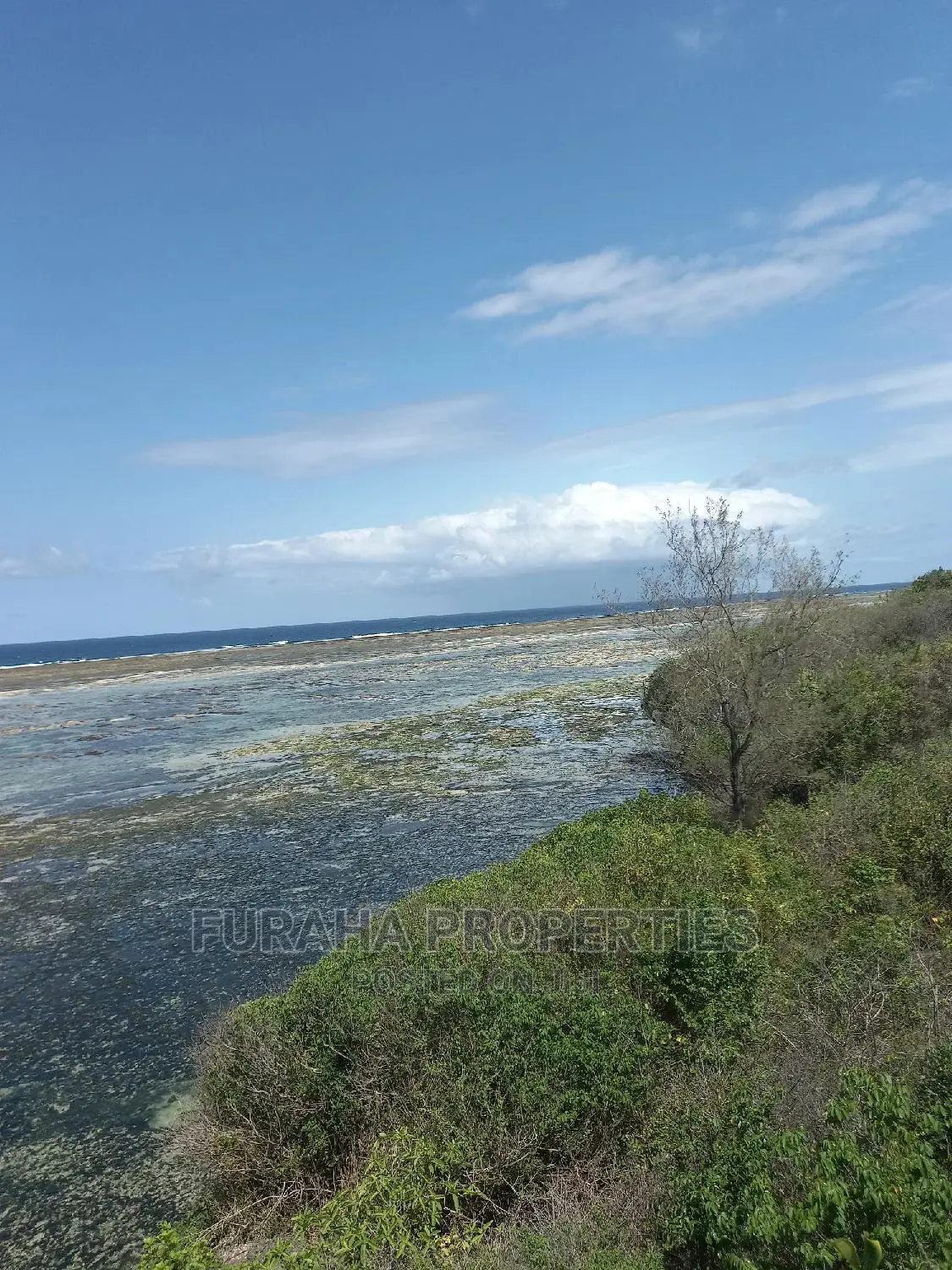 2-Acre Beachfront Property in Likoni - Ideal for Resort Development! in Likoni