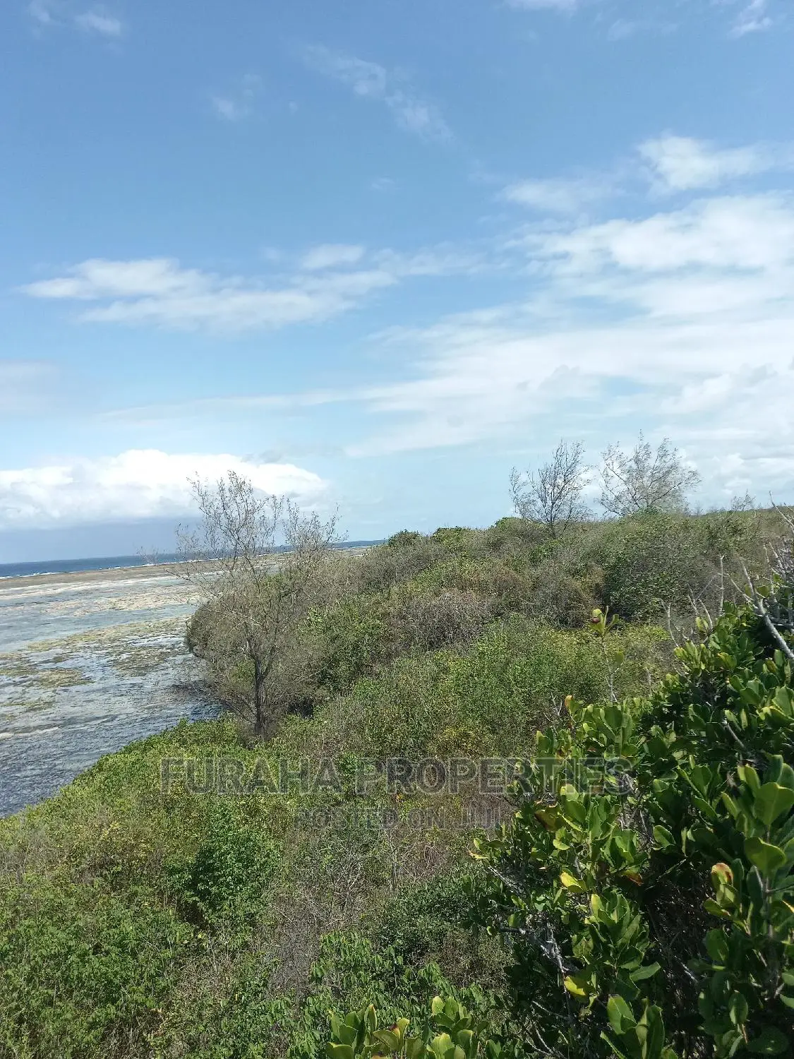 2-Acre Beachfront Property in Likoni - Ideal for Resort Development! in Likoni