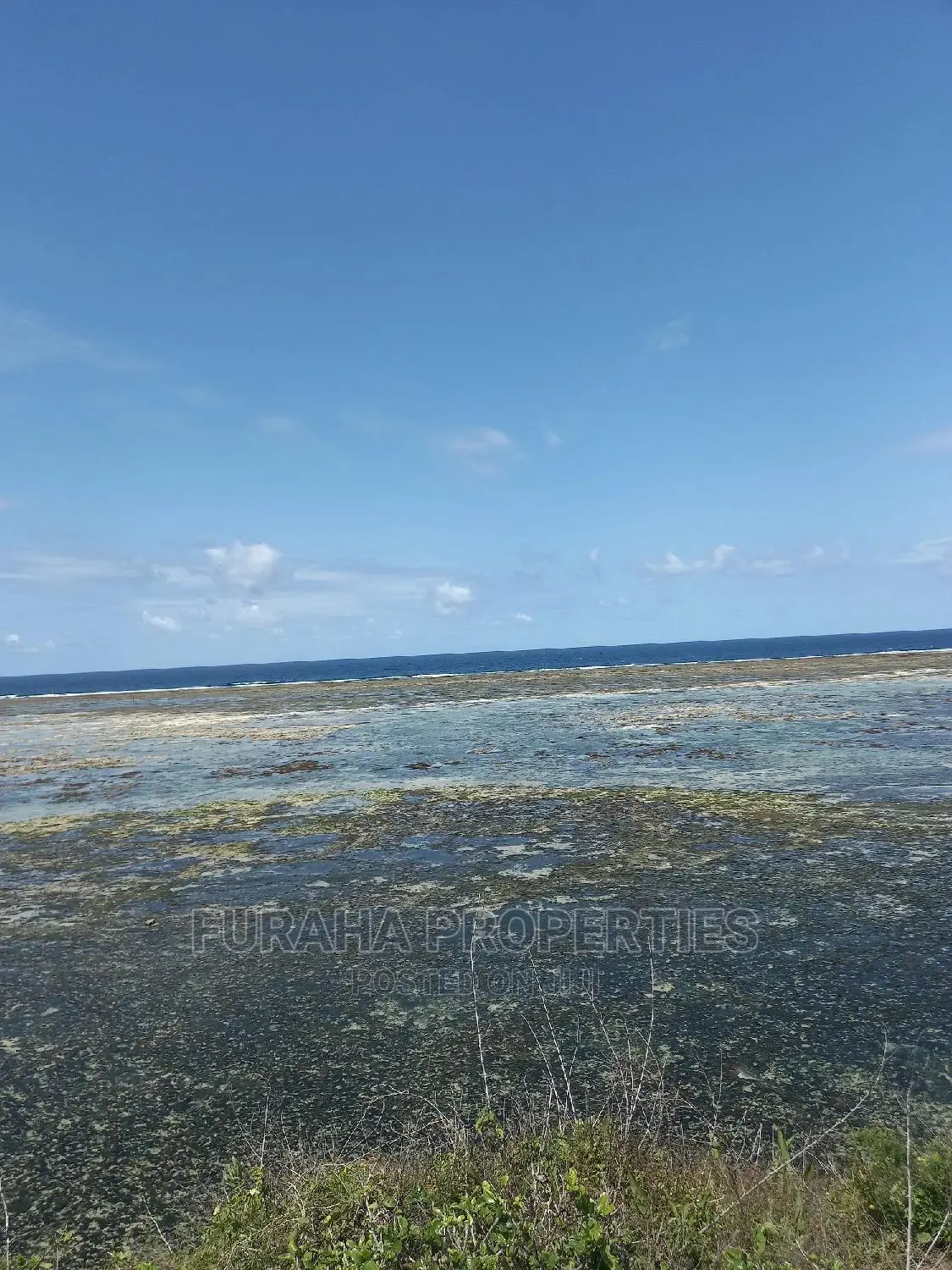 2-Acre Beachfront Property in Likoni - Ideal for Resort Development! in Likoni