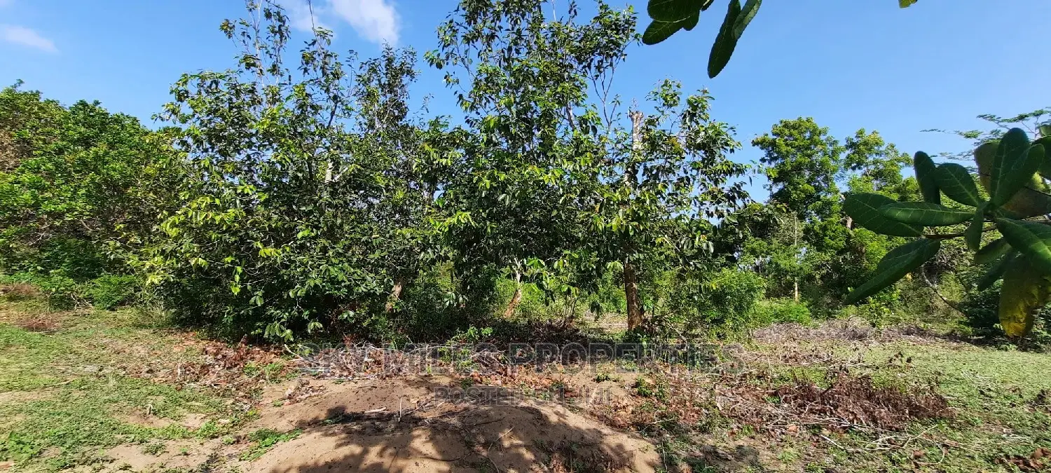 1 Acre Waterfront Property in Mtwapa - Just a Short Walk to the Beach in Mtwapa