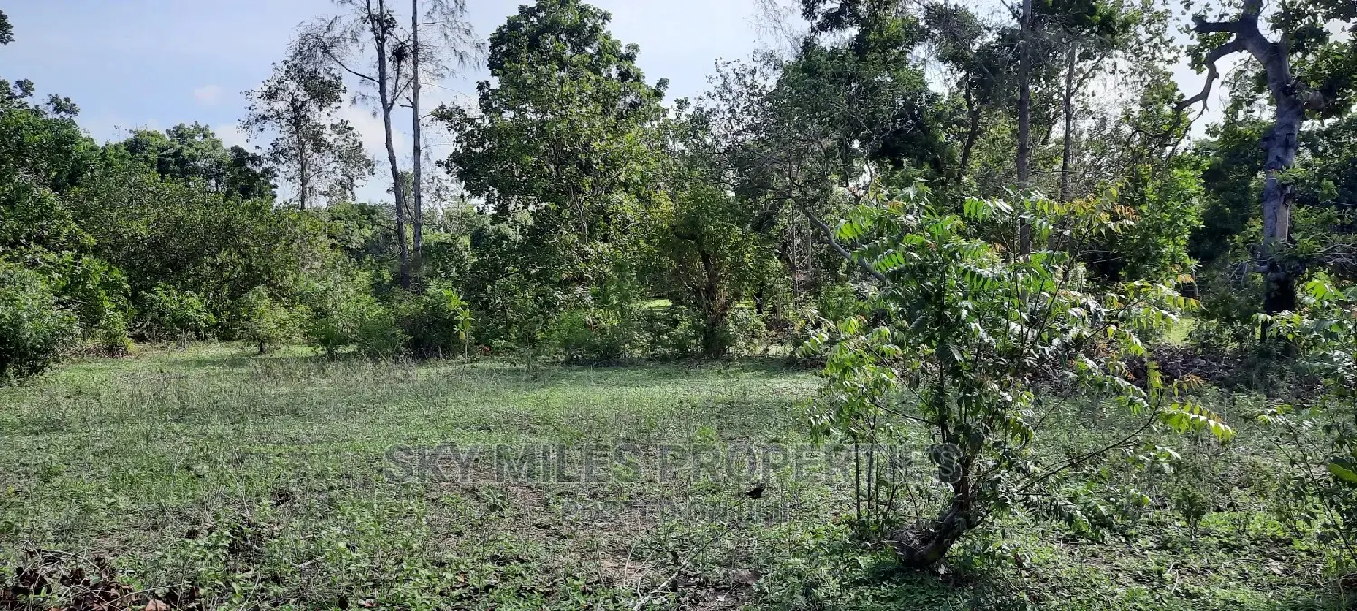 1 Acre Waterfront Property in Mtwapa - Just a Short Walk to the Beach in Mtwapa