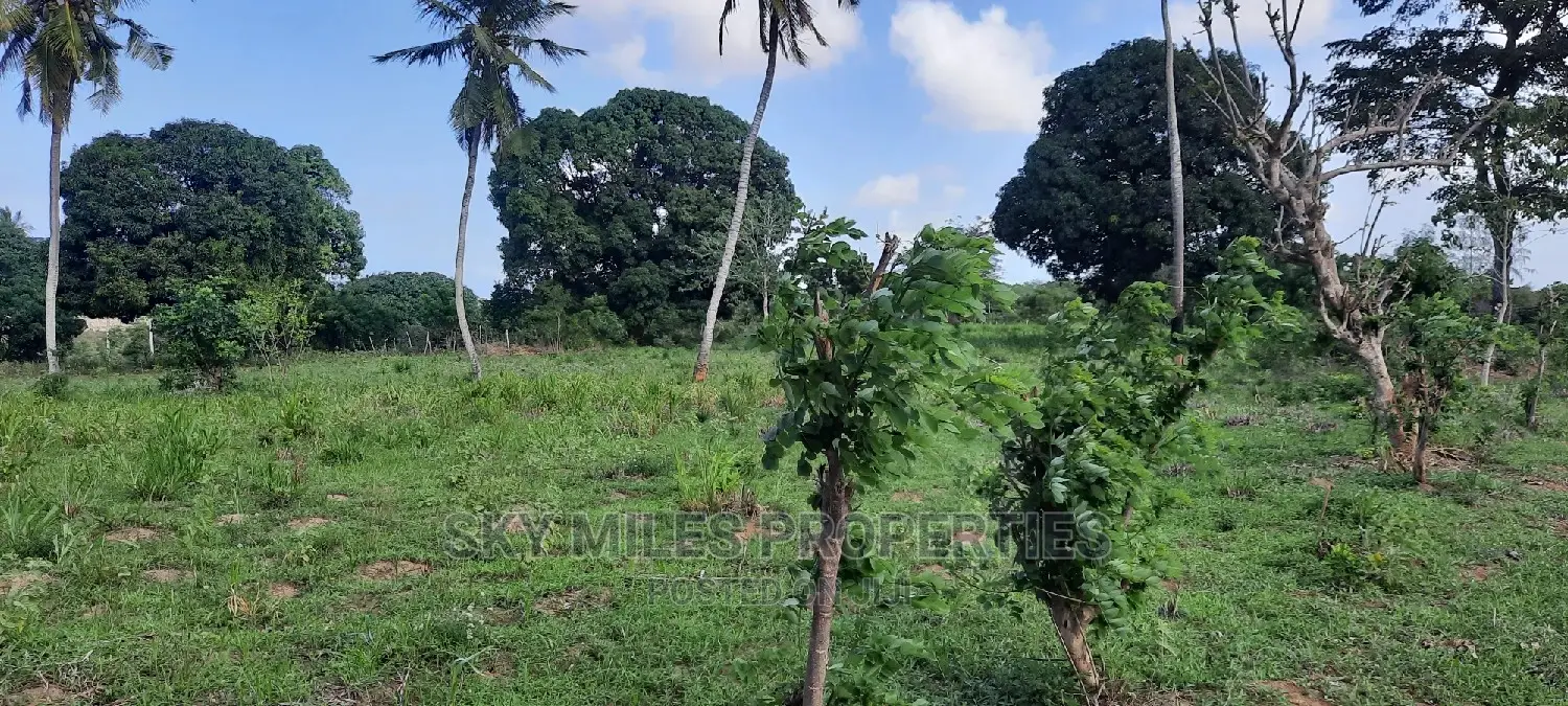 1 Acre Property in Mtwapa, Taita Taveta: For Sale Now in Mtwapa