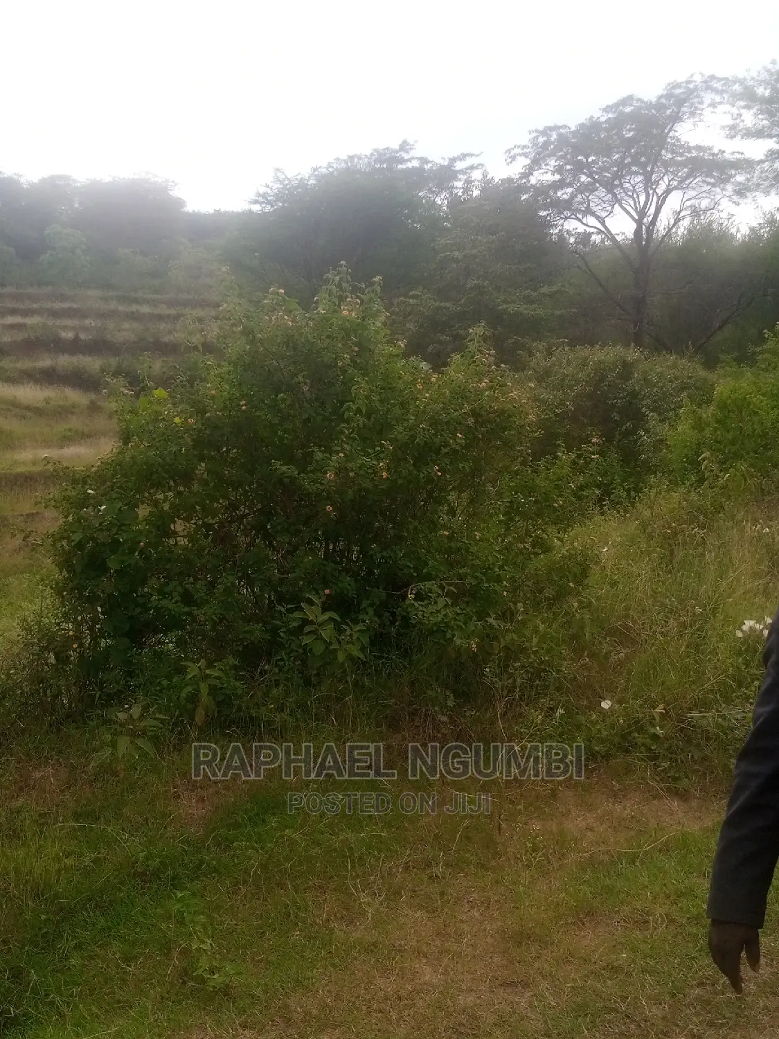 Machakos Irrigation Land: A Smart Investment for the Future! in Ukia
