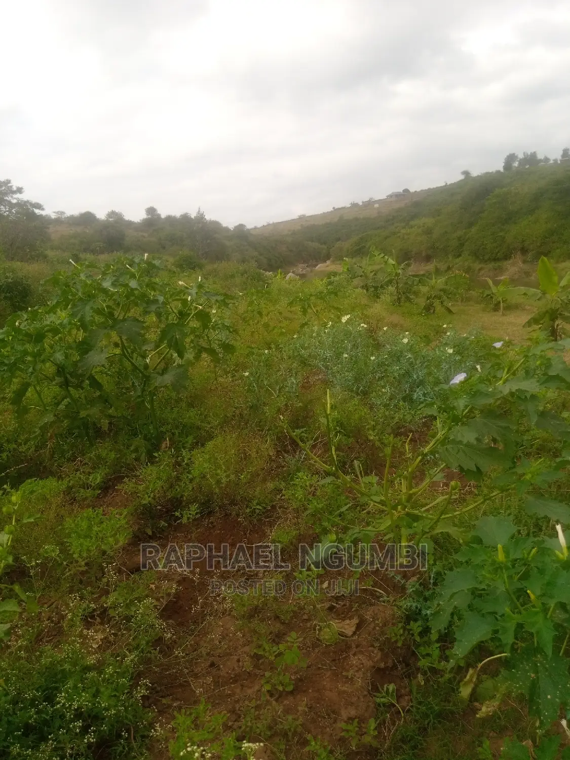 Machakos Irrigation Land: A Smart Investment for the Future! in Ukia