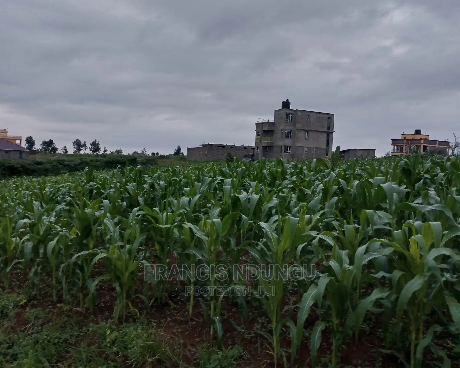 Residential Plot in Kiora Estate Kirigiti Migaa Rd. in Tinganga