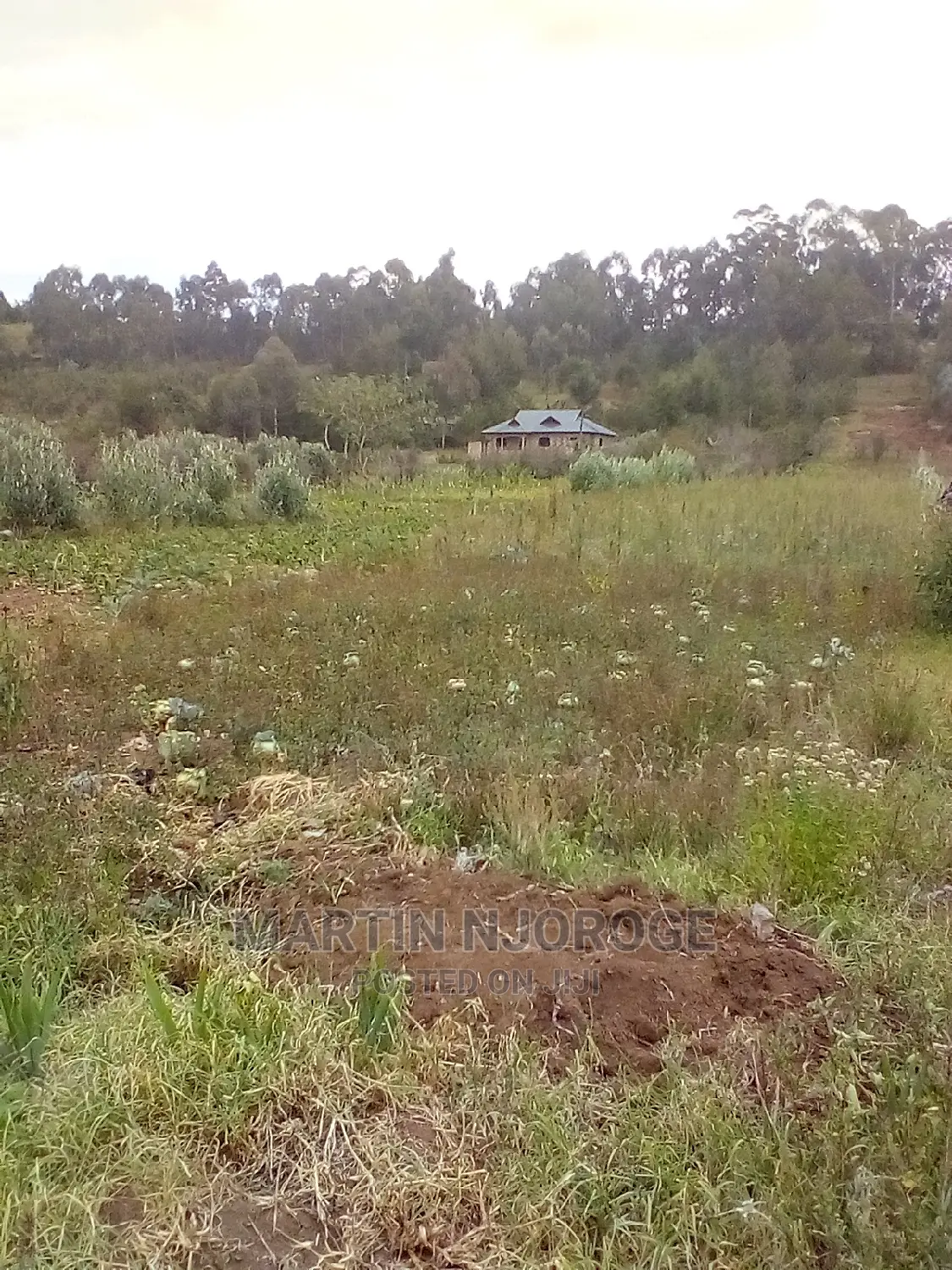 100 by 100 Mwendandu ( Heni Area) South Kinangop in Magumu