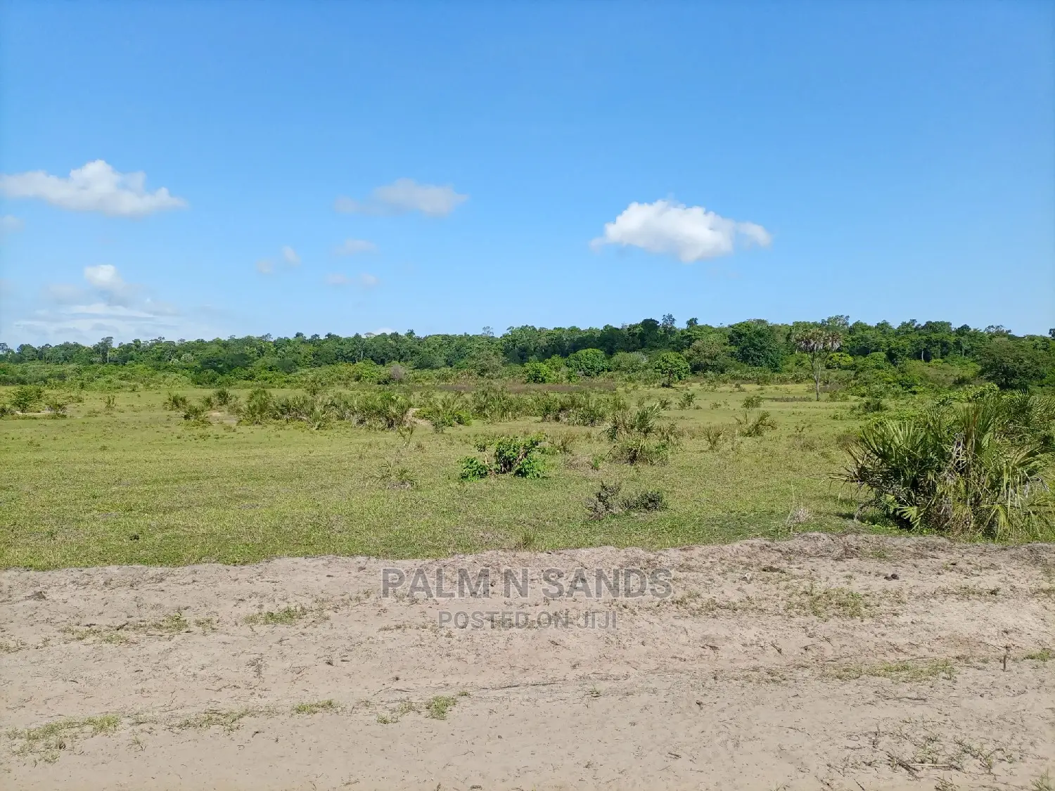 Agricultural Land: 25 Acres for Sale, Ideal for Crop Production in Kubo South