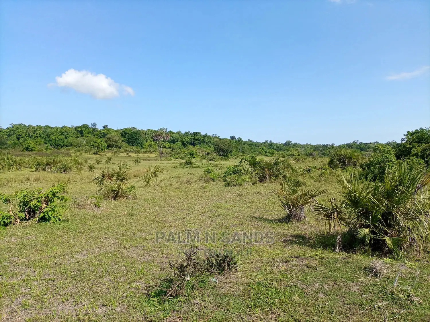 Agricultural Land: 25 Acres for Sale, Ideal for Crop Production in Kubo South