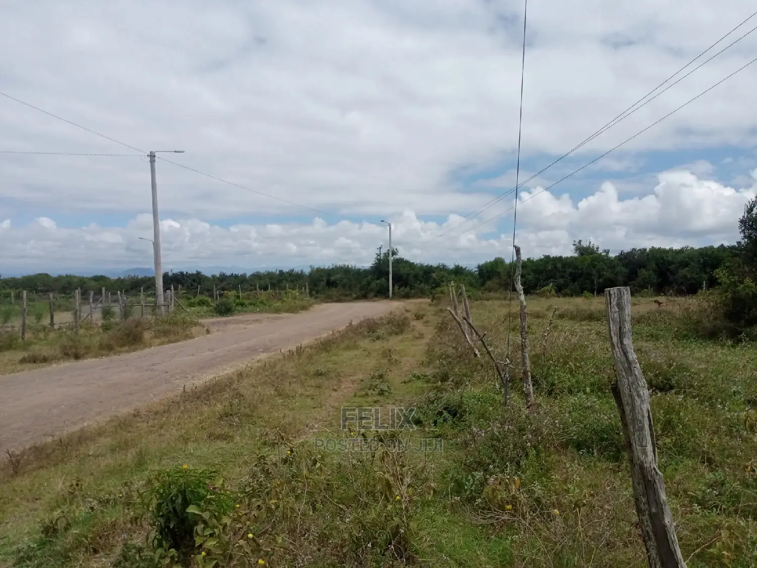 Prime Plots for Sale in Narumoru Kwa Jay in Kieni
