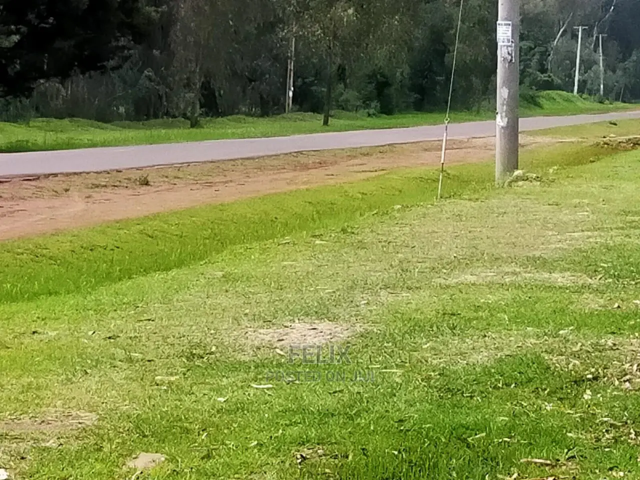 Quarter Plots Sale in Marua in Mathira