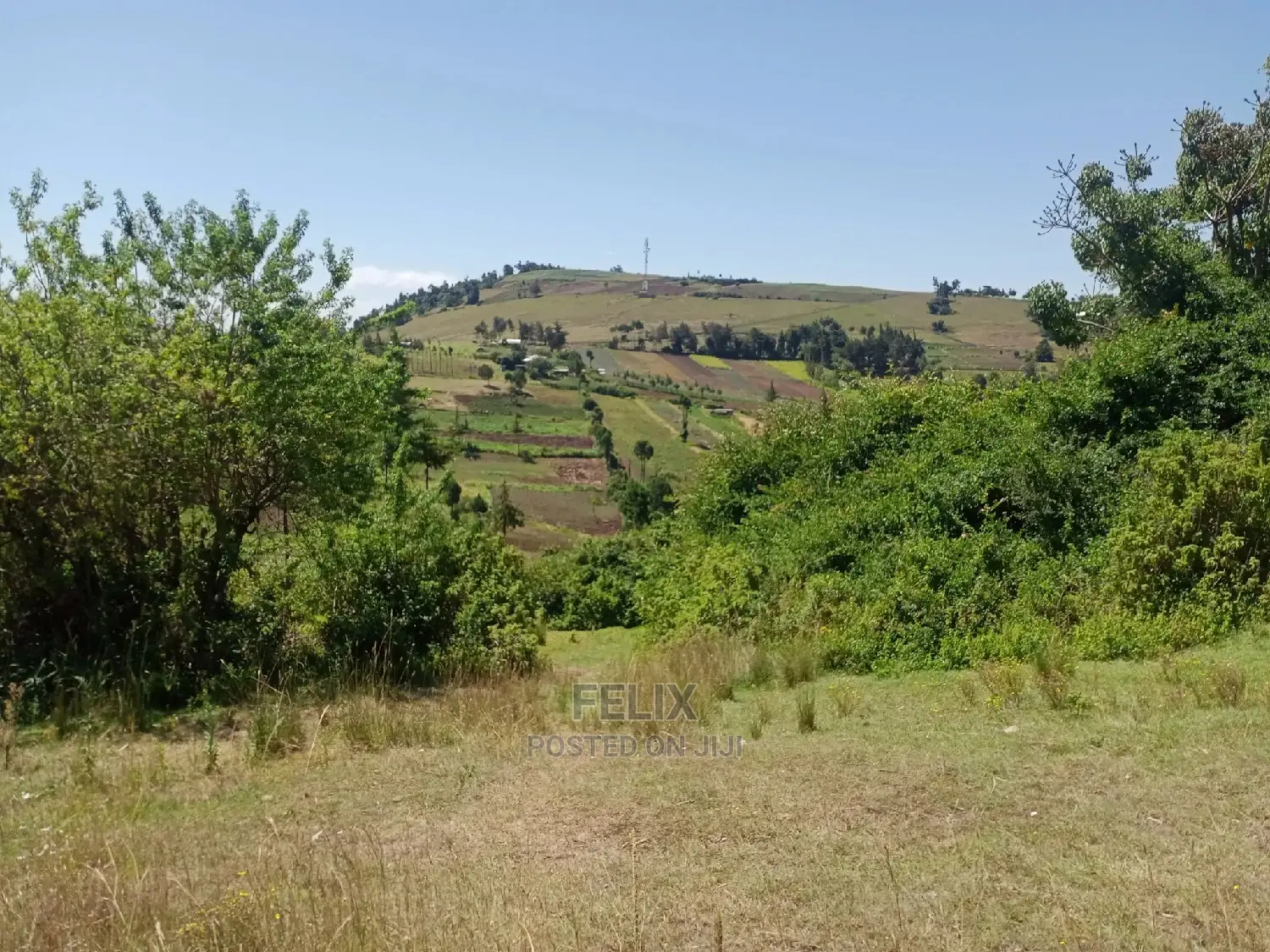 Quarter Plots Sale in Marua in Mathira