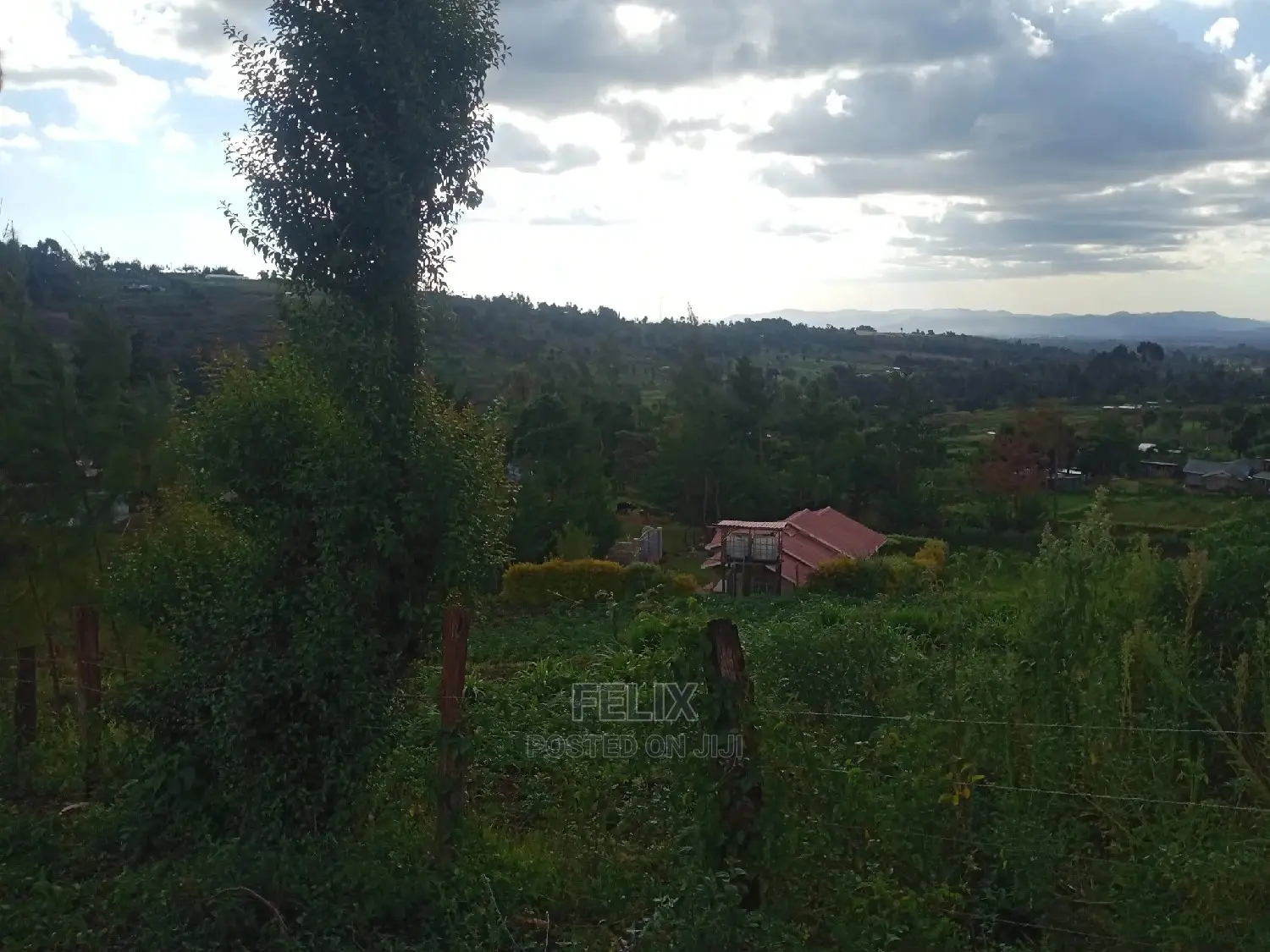 Prime Plots in Ruthagati Karatina in Mathira