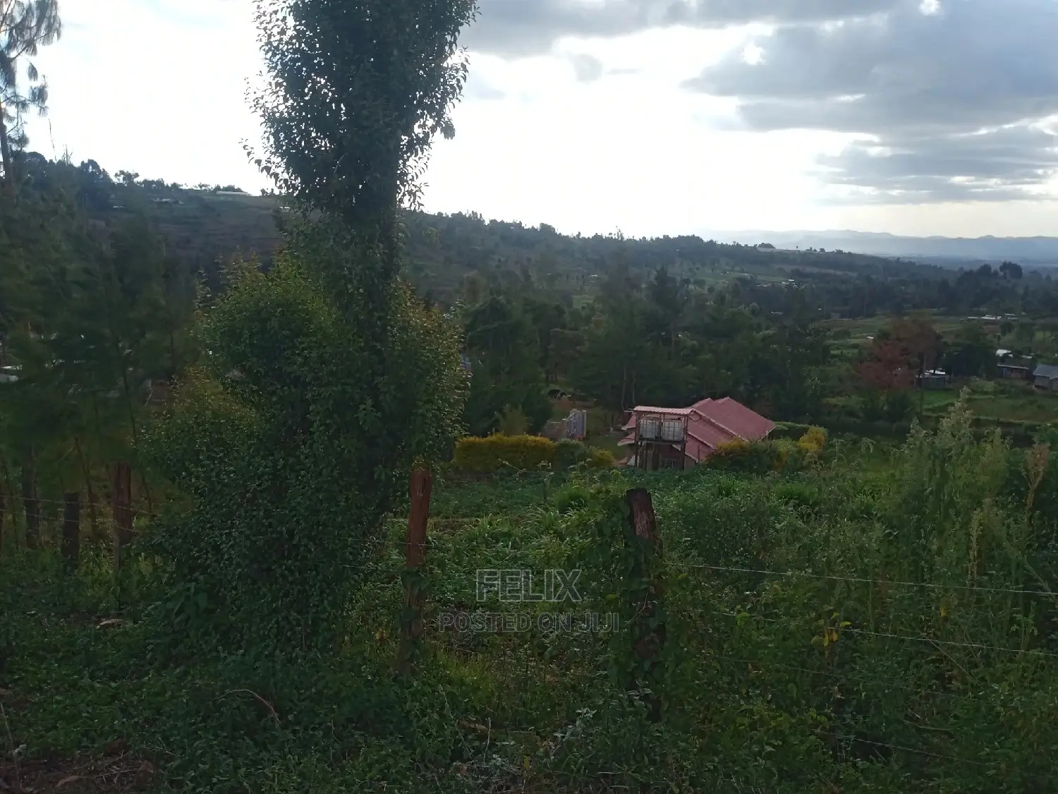 Prime Plots in Ruthagati Karatina in Mathira