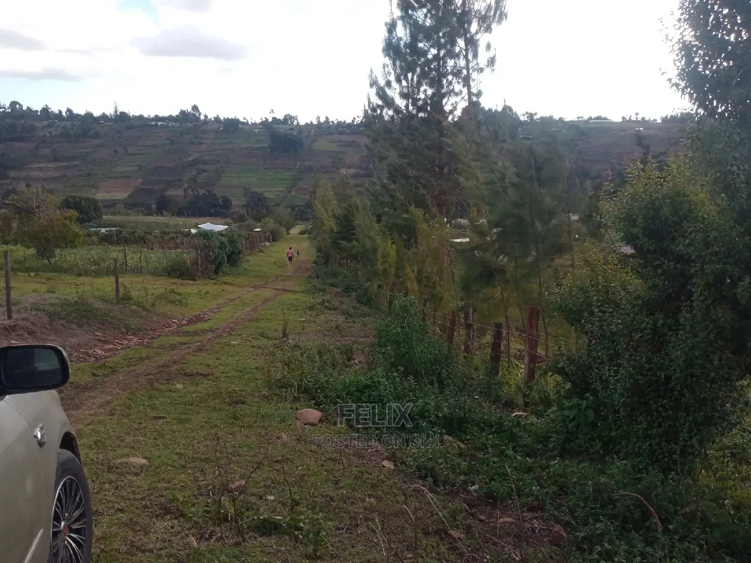 Prime Plots in Ruthagati Karatina in Mathira