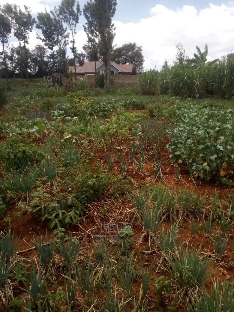 Prime Land on Sale in Karatina in Mathira