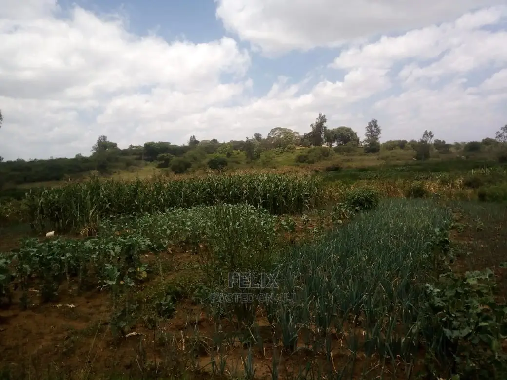 Prime Land on Sale in Karatina in Mathira