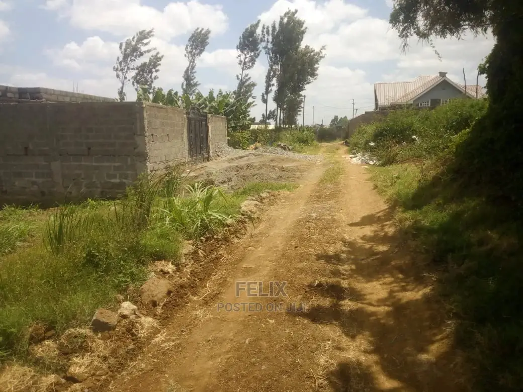 Prime Land on Sale in Karatina in Mathira