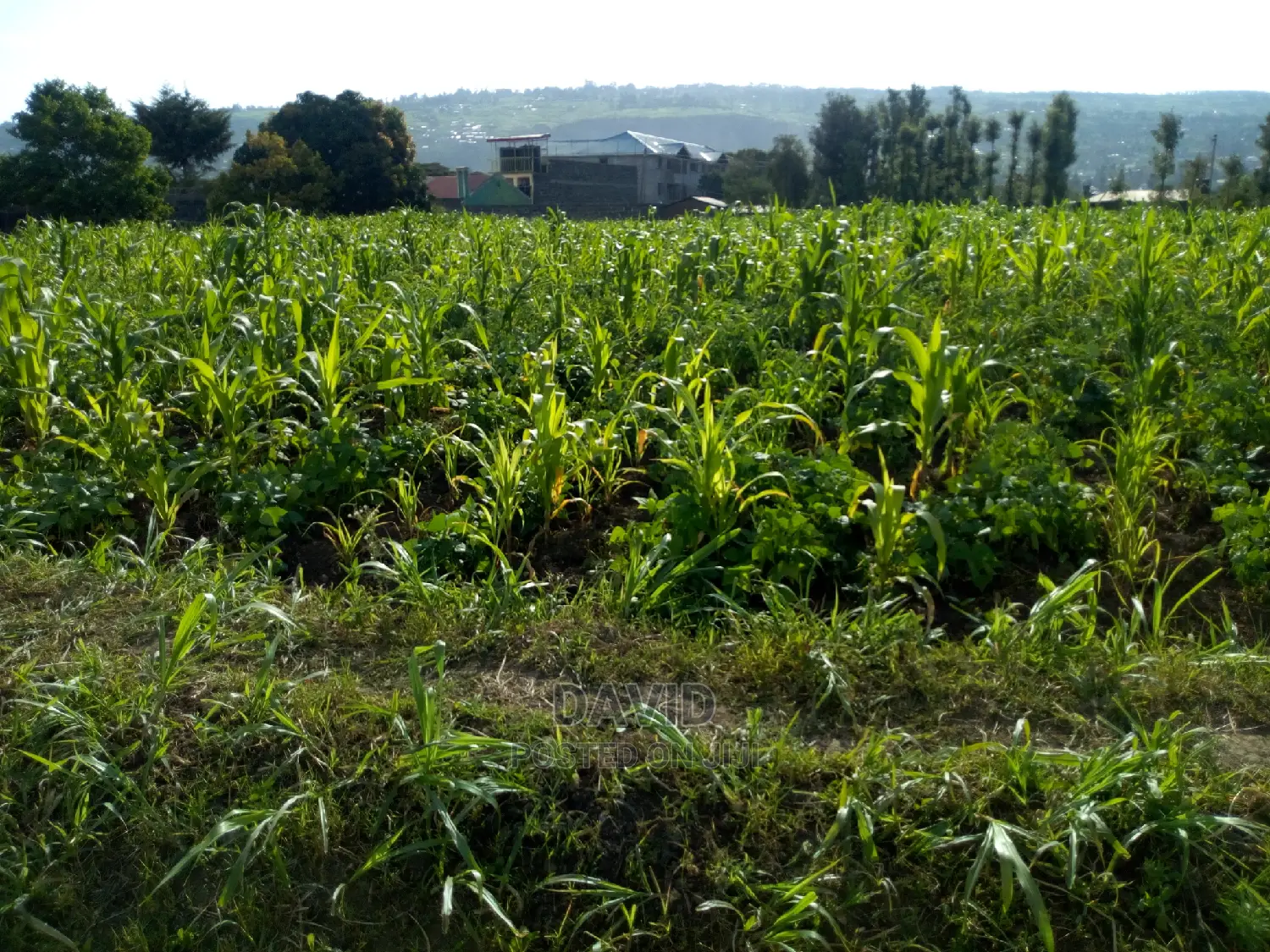 Plot for Sale in Maili Sita Nakuru in Nakuru Town East