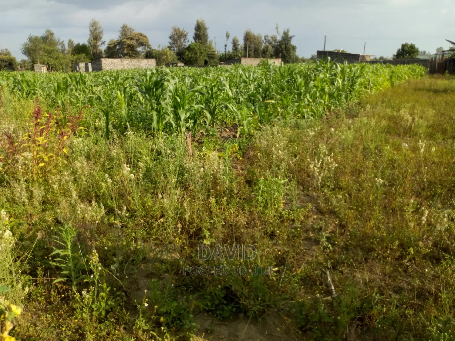 Plot for Sale in Maili Sita Nakuru in Nakuru Town East