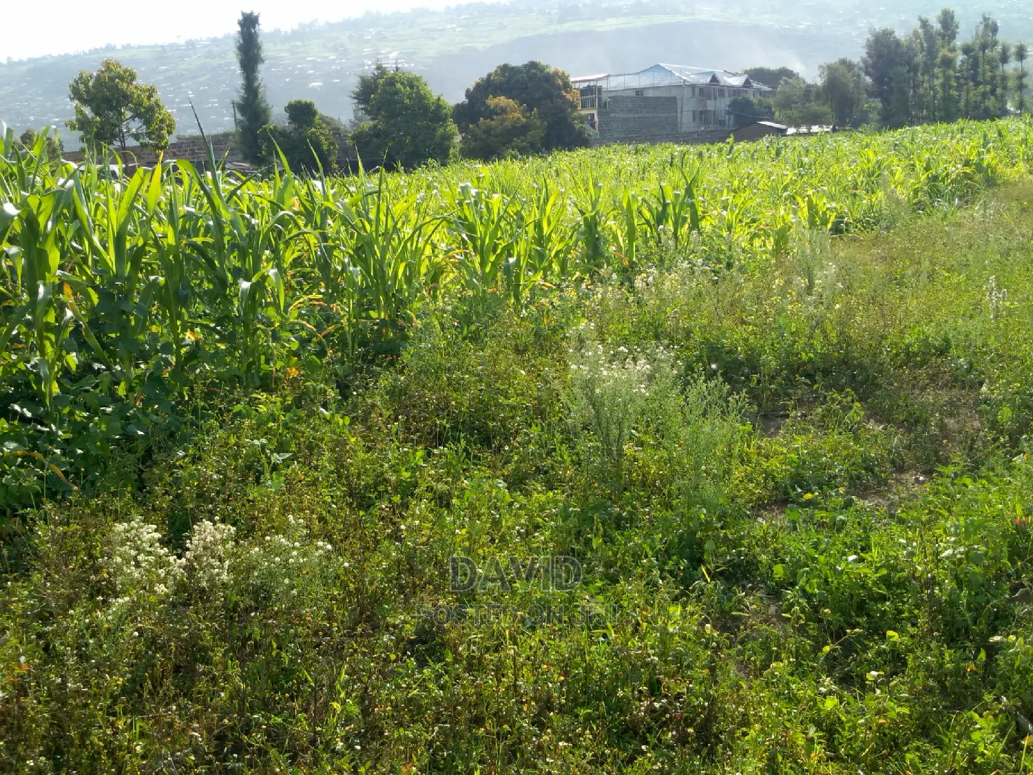 Plot for Sale in Maili Sita Nakuru in Nakuru Town East