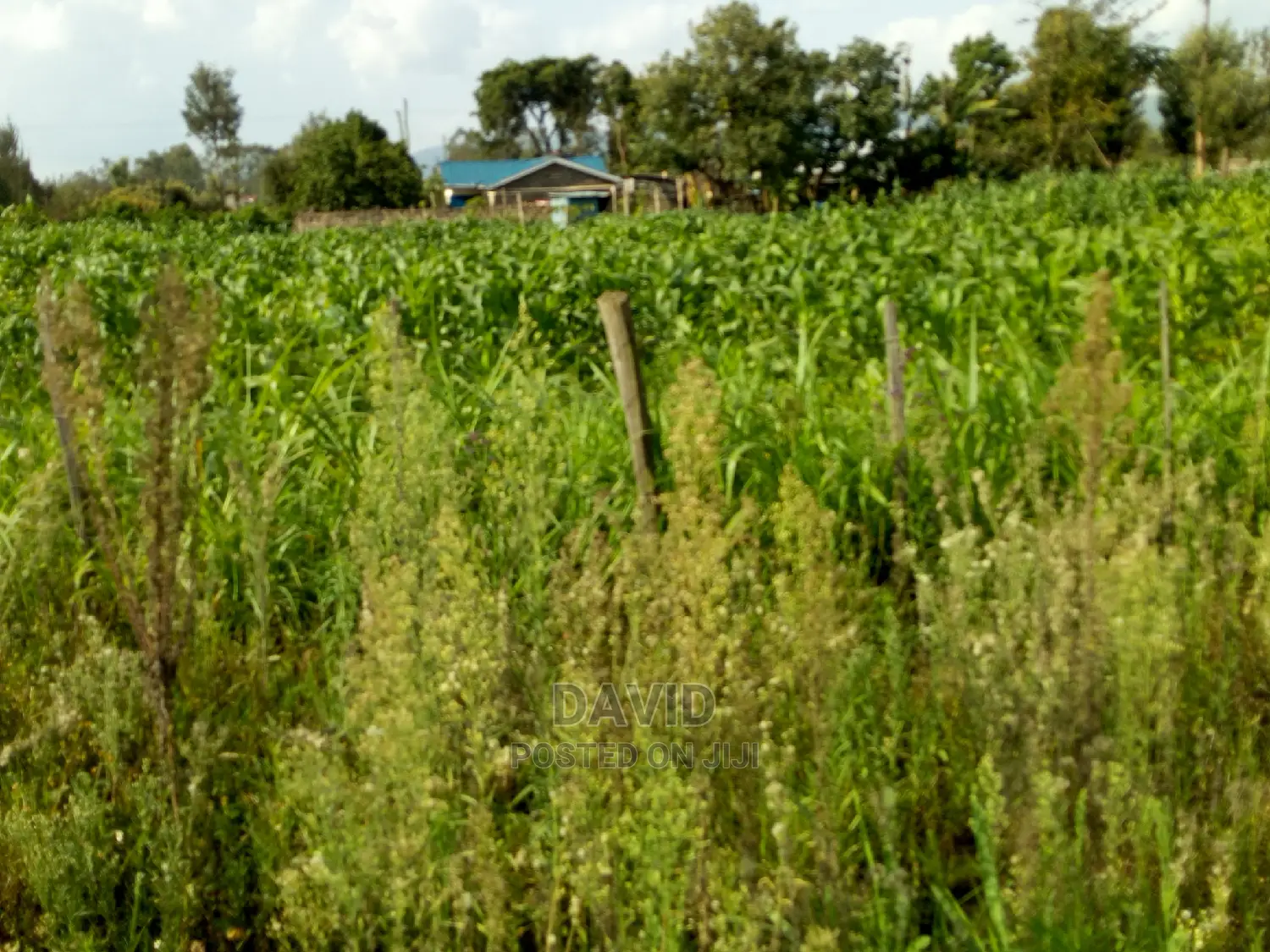 Plot for Sale in Maili Sita Nakuru in Nakuru Town East