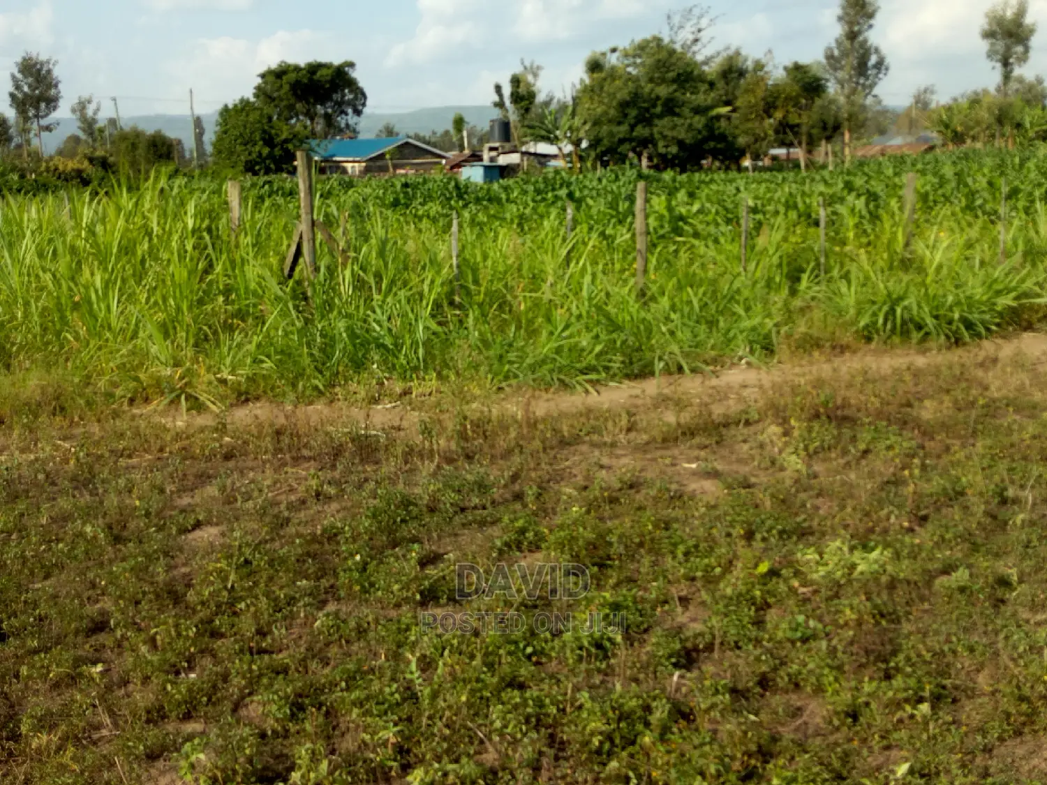 Plot for Sale in Maili Sita Nakuru in Nakuru Town East