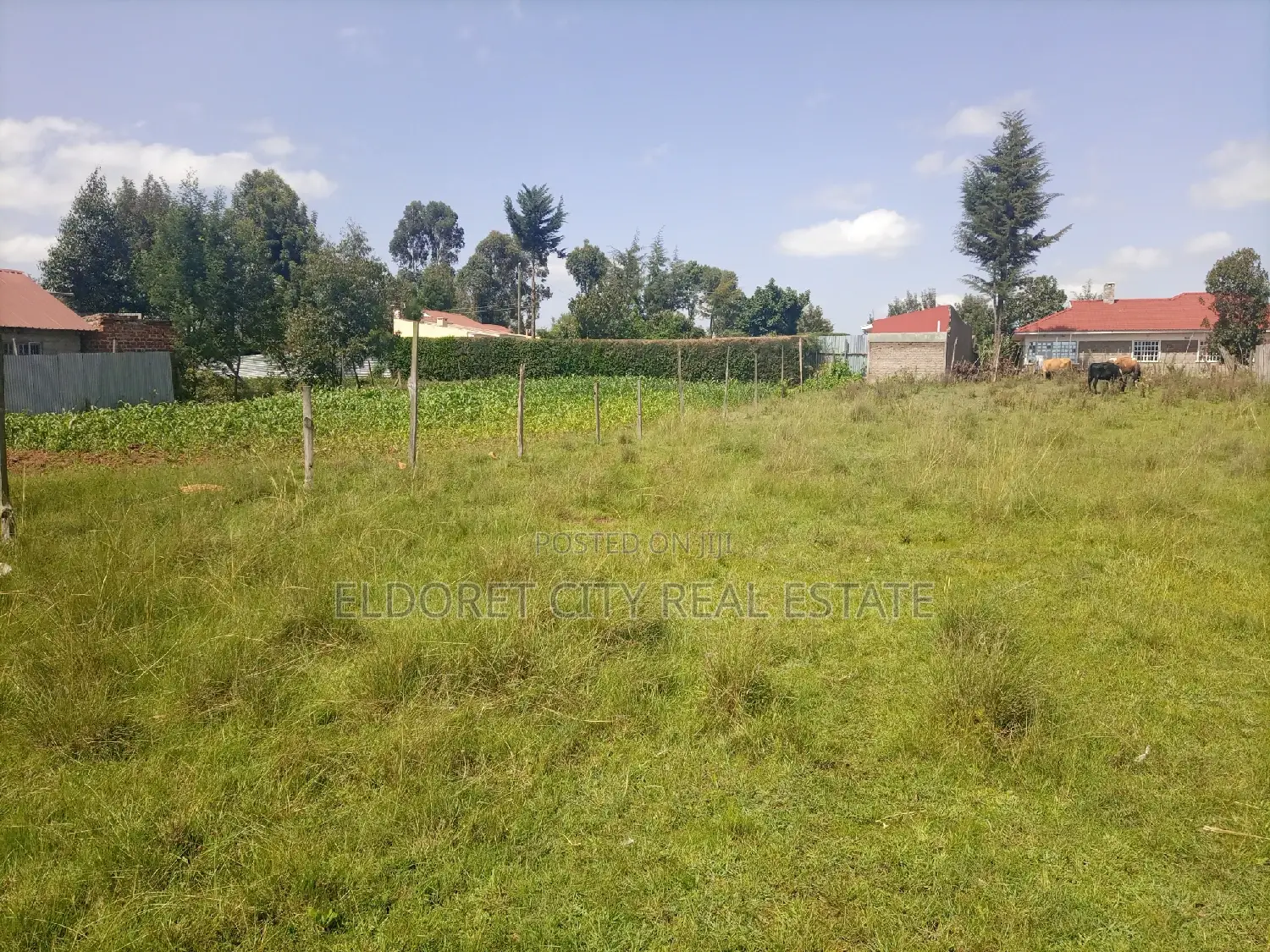 Prime 1/4 Acre Betterfarm Plot: Ideal for Agricultural Investment in Elgon View