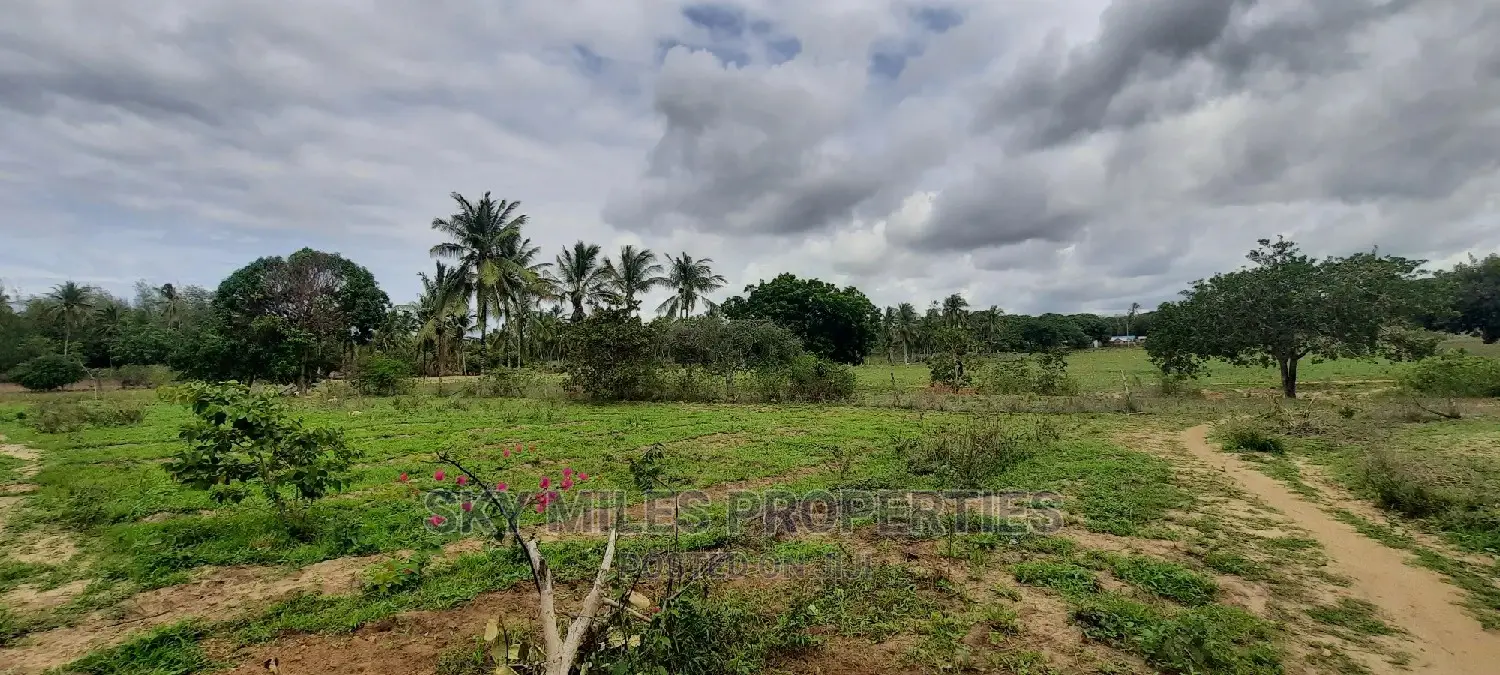 1 Acre Land in Zimbabwe's Bomani - For Sale in Kikambala