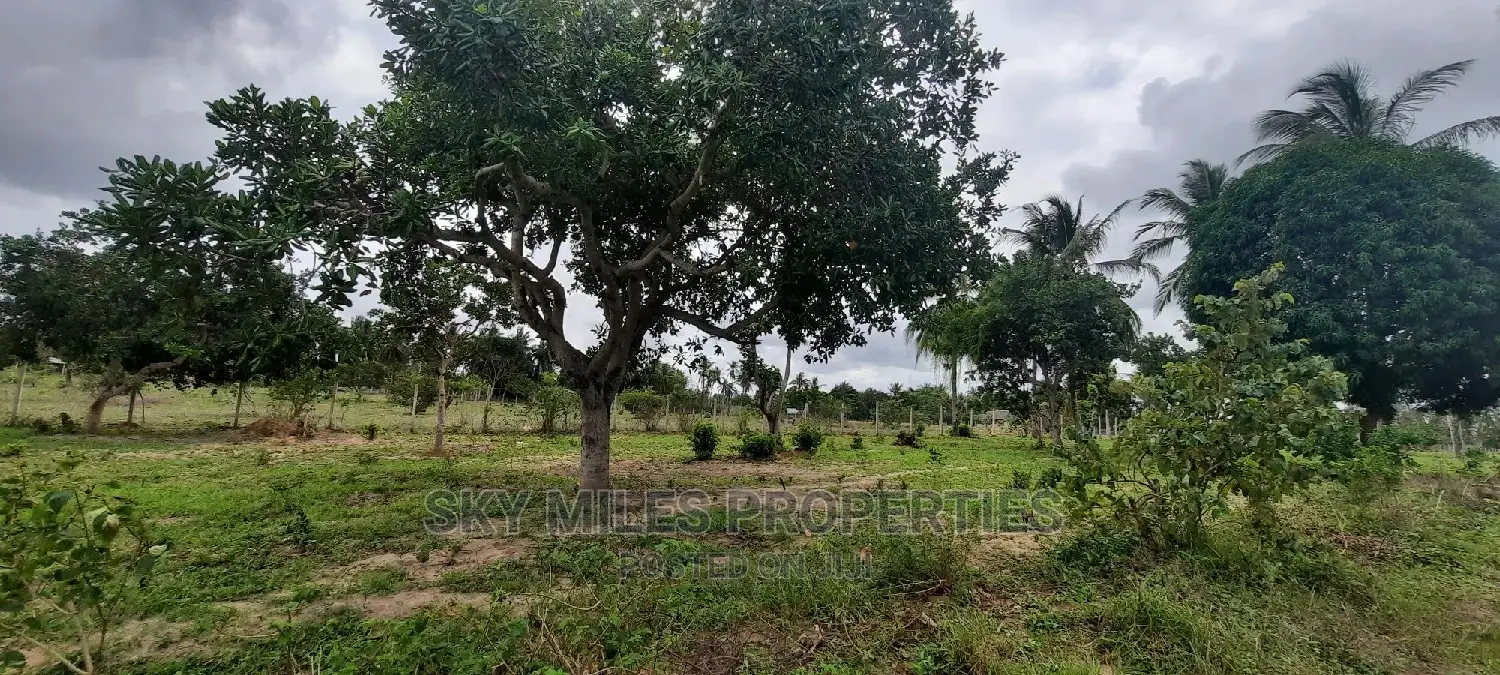 1 Acre Land in Zimbabwe's Bomani - For Sale in Kikambala