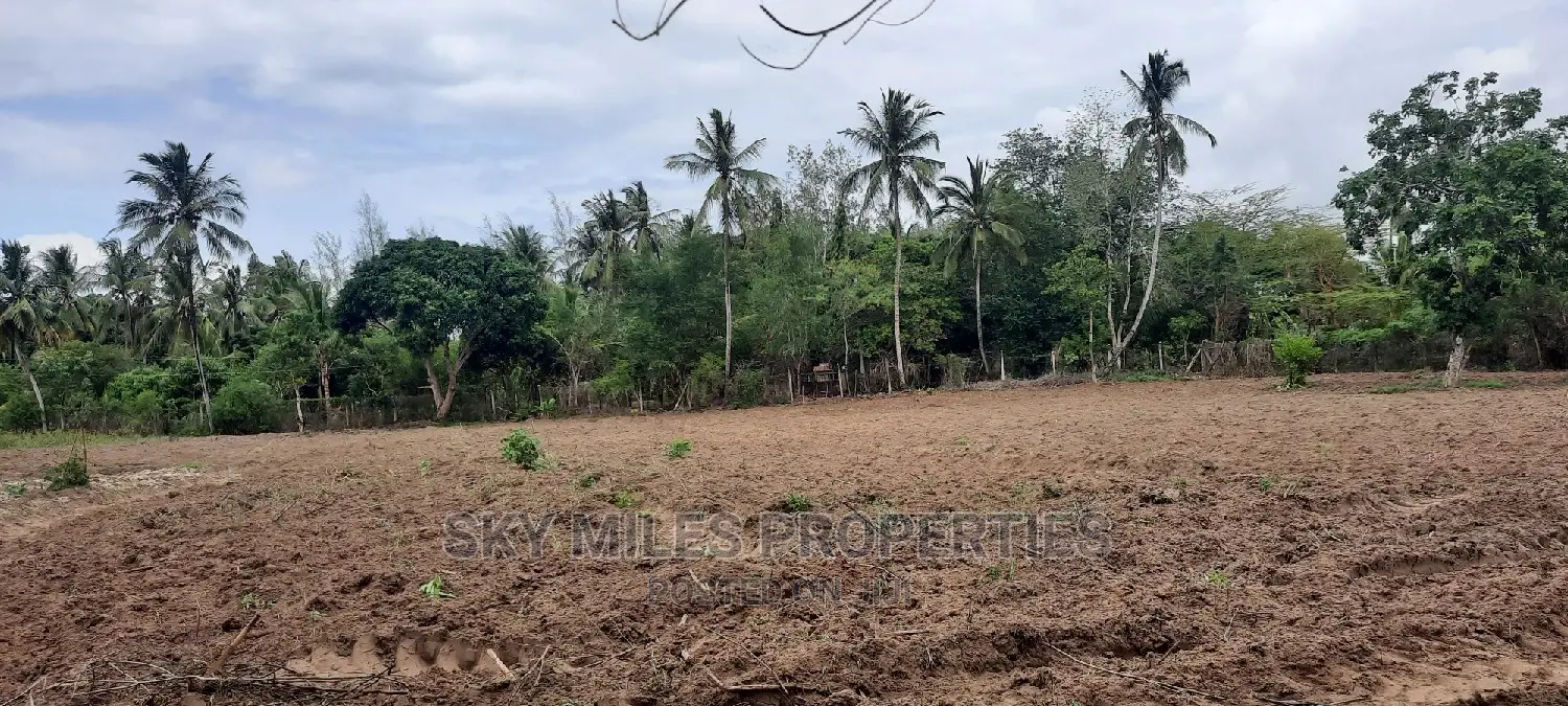 6 Acre Land in Bomani - Dream Property for Agriculture or Development in Kikambala