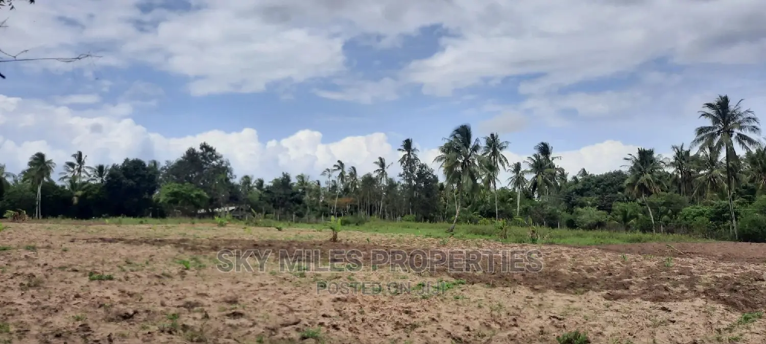 6 Acre Land in Bomani - Dream Property for Agriculture or Development in Kikambala