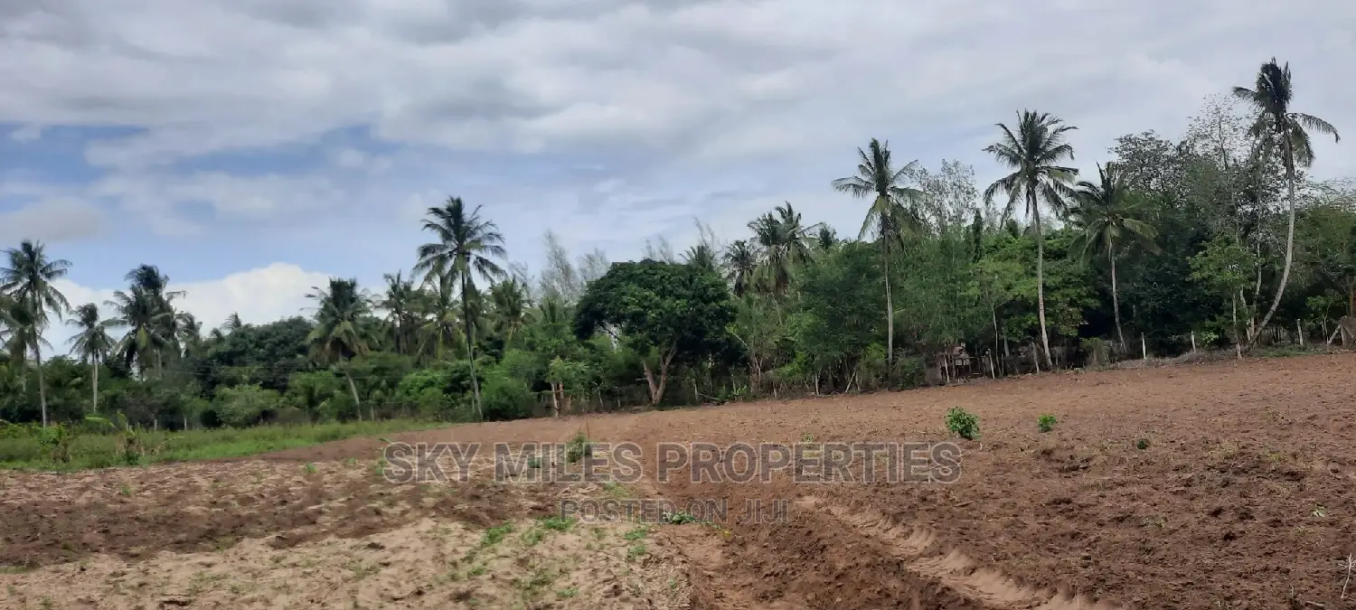 6 Acre Land in Bomani - Dream Property for Agriculture or Development in Kikambala