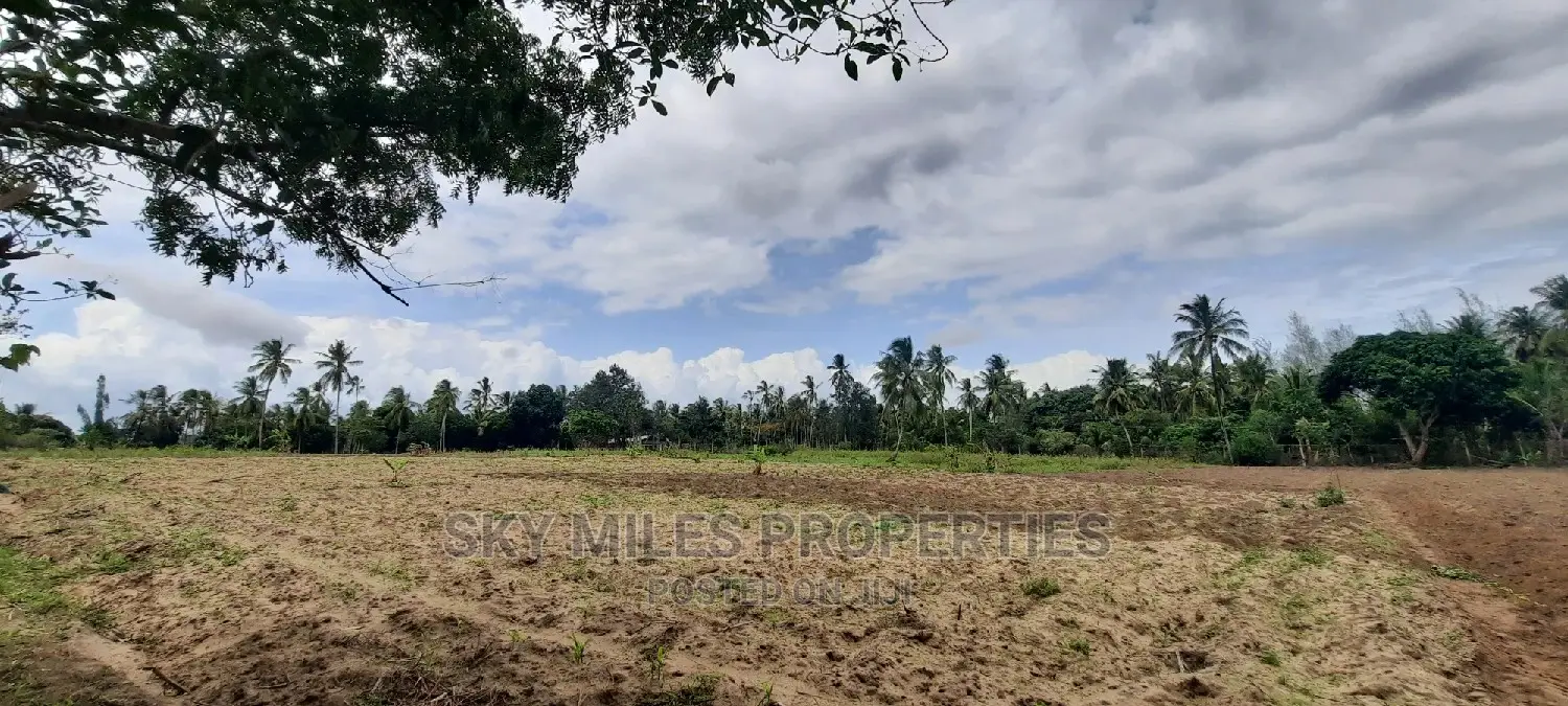 6 Acre Land in Bomani - Dream Property for Agriculture or Development in Kikambala