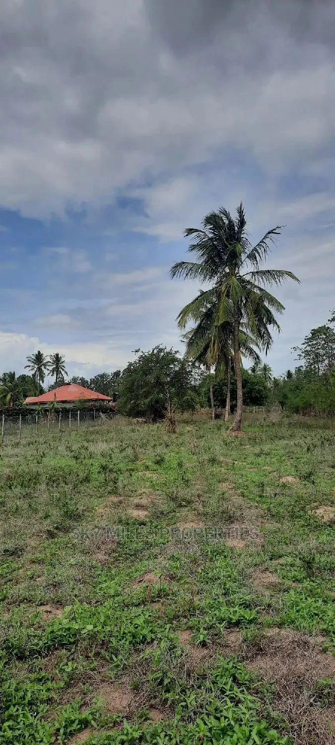 Affordable 1 Acre Land for Sale in Bomani/Kikambala: Invest Today! in Kikambala