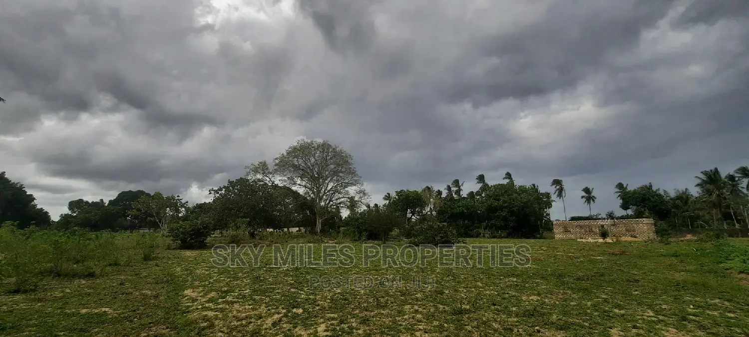 Animo Mtwapa Land Plots: Buy 50 or 100 Acres Today! in Mtwapa