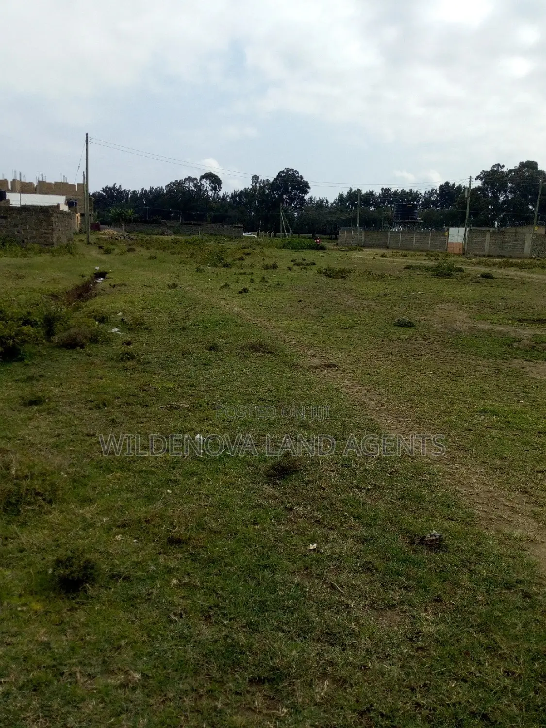 Prime 20-Acre Plot for Sale in Naivasha Town in Naivasha