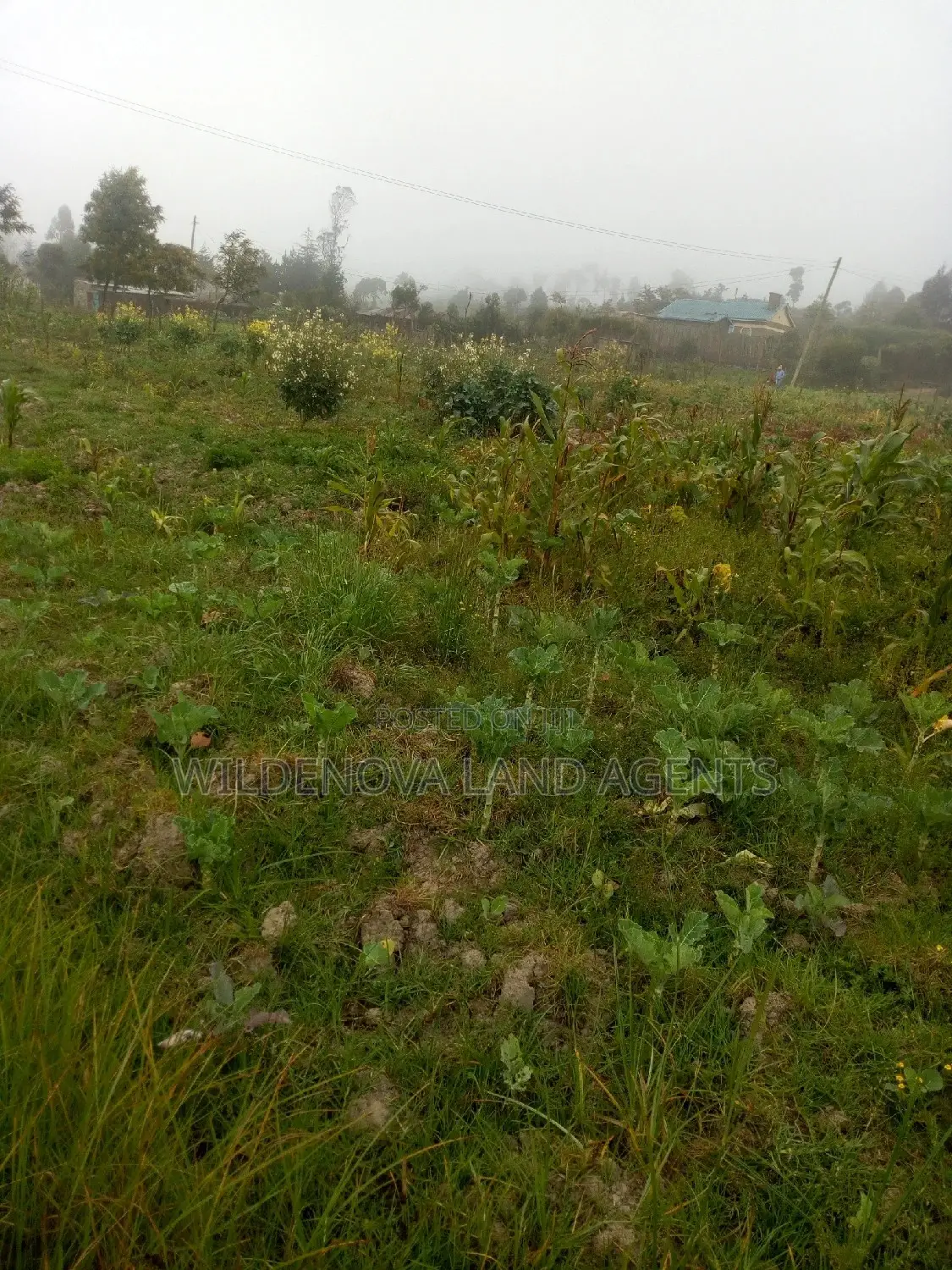 Affordable Land for Sale near Nairobi-Nakuru Highway in Magumu