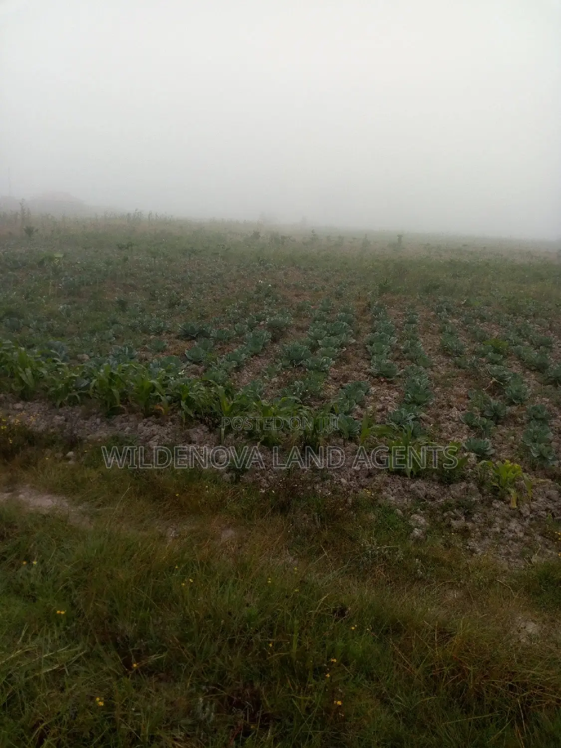 Affordable Land for Sale near Nairobi-Nakuru Highway in Magumu