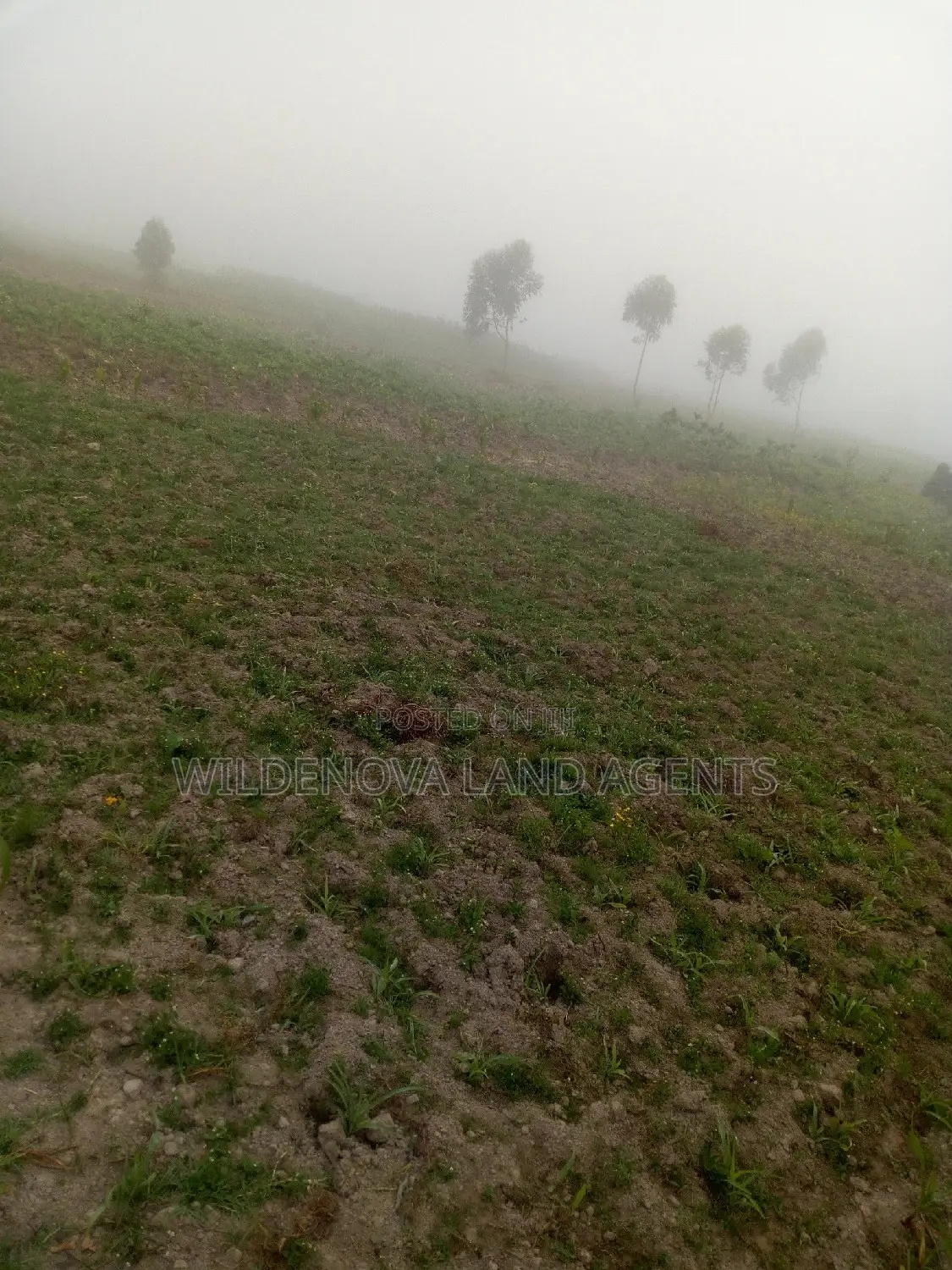 Affordable Land for Sale near Nairobi-Nakuru Highway in Magumu